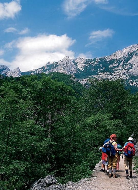 Grootste aanbieder in actieve en bijzondere vakanties naar Kroatië Italië Slovenië Bosnië