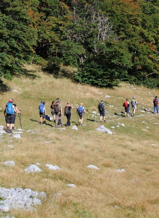 Grootste aanbieder in actieve en bijzondere vakanties naar Kroatië Italië Slovenië Bosnië